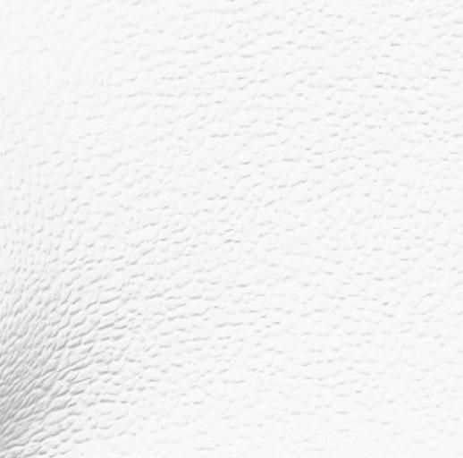 White Leather