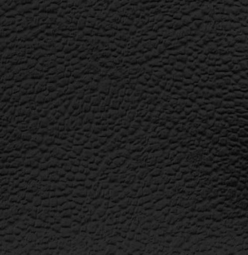 Black Leather